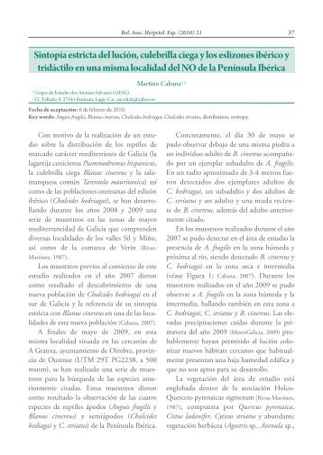 herpes virus que causa la culebrilla codycross